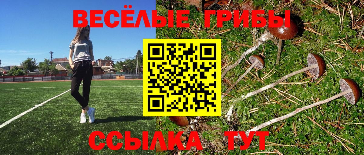 Галлюциногенные грибы прущие грибы Черняховск