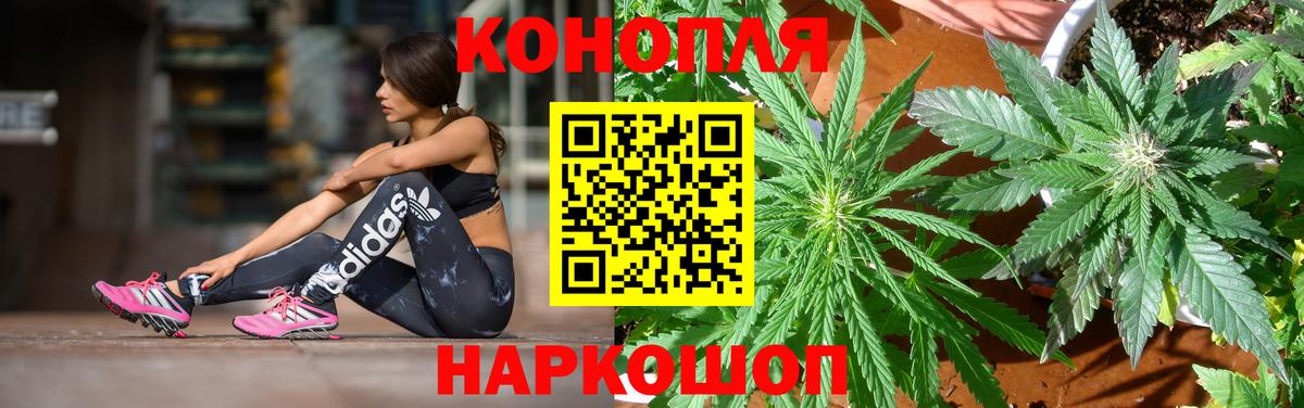 Черняховск  Бошки марихуана тримм  Вход с VPN  Конопля планчик  Шишки марихуана SATIVA & INDICA  Каннабис гибрид 